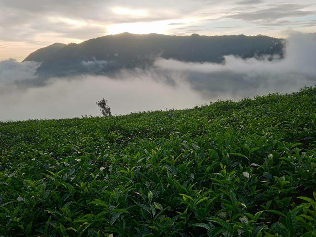 The Nirvana Resort Munnar Exterior foto